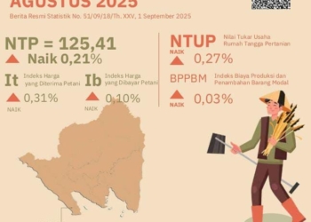  Infografis BPS Lampung