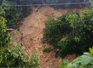 Longsor di Karang Brak Tanggamus Lumpuhkan Jalan Limau-Kota Agung Timur