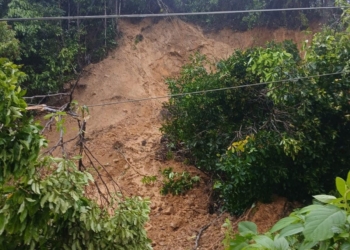 Longsor yang melanda Pedukuhan Karang Brak, Pekon Tegineneng, Kecamatan Limau, Kabupaten Tanggamus, Sabtu, 6 September 2025, pagi. (tangkapan layar video warga)