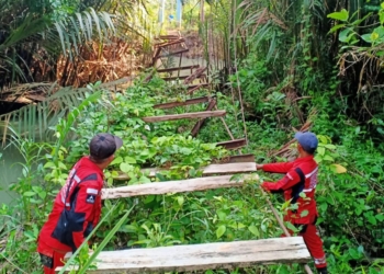 Vertical Rescue Indonesia (VRI) tengah lakukan perbaikan jembatan. Dok VRI