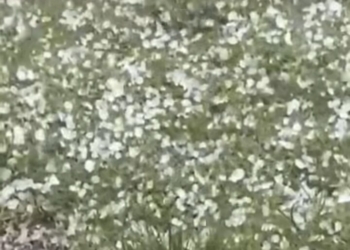 Butiran hujan es karena fenomena awan cumulonimbus terjadi pada wilayah Liwa, Kabupaten Lampung Barat, Senin, 29 September 2025. Dok Warga