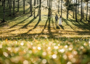 foto pasangan Gemini AI