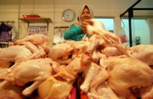 Emak-emak Keluhkan Harga Ayam Potong Naik di Bandar Lampung
