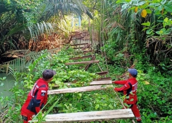 Gubernur Lampung Gerak Cepat Perbaiki Jembatan Gantung Tampang Muda