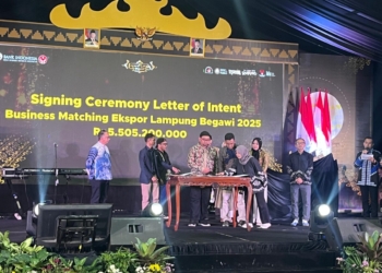 Ini Sederet Kekurangan dan Tantangan UMKM Lampung