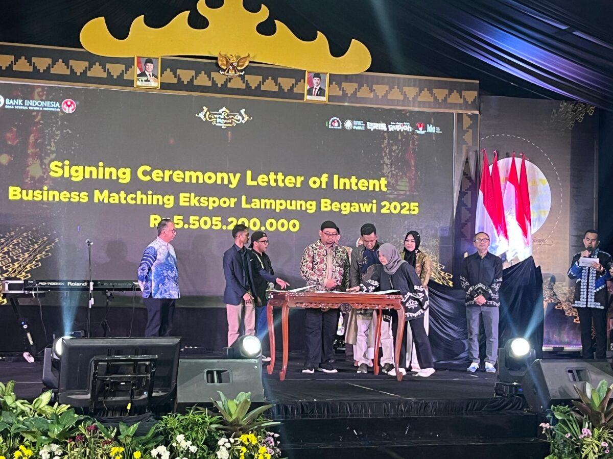 Ini Sederet Kekurangan dan Tantangan UMKM Lampung