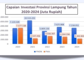 Paparan data grafik investasi Lampung/Pemprov Lampung