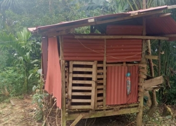 Kandang kambing milik warga di Pekon Pesanguan, Pematang Sawa, Tanggamus diduga dimangsa beruang pada Sabtu malam (25/10/2025) sekitar pukul 23.30 WIB. (Dok Polres)