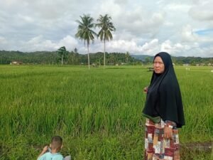 Petani Pesisir Barat Menderita Keluhkan Harga Pupuk Mahal dan Pengawasan Lemah
