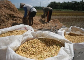 Tutupi Biaya Produksi Buat Perajin Tahu dan Tempe Kelimpungan