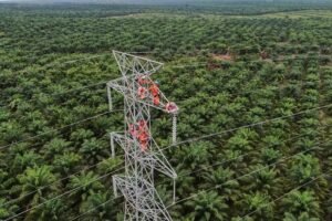 PLN Siap Jadi Penggerak Transisi Energi melalui ASEAN Power Grid