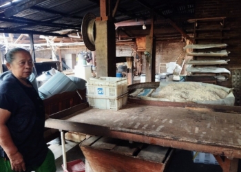 Distributor kedelai sekaligus perajin tahu tempe di Desa Purwodadi Dalam, Kecamatan Tanjungsari, Lampung Selatan.