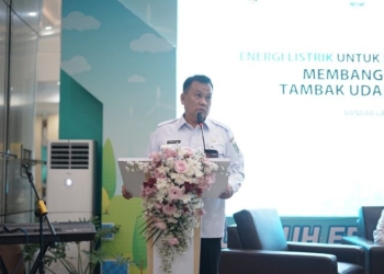 Energi Listrik untuk Tambak Udang, PLN UID Lampung Raih Penghargaan Gubernur