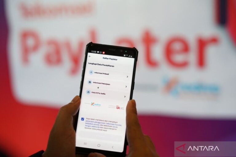 OJK Siap Kunci Pengguna Paylater! Tak Bisa Lagi Punya Banyak Akun Sembarangan