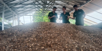 Energi Berdikari dari Ulubelu Ubah Limbah Kopi ke Cuan Hijau