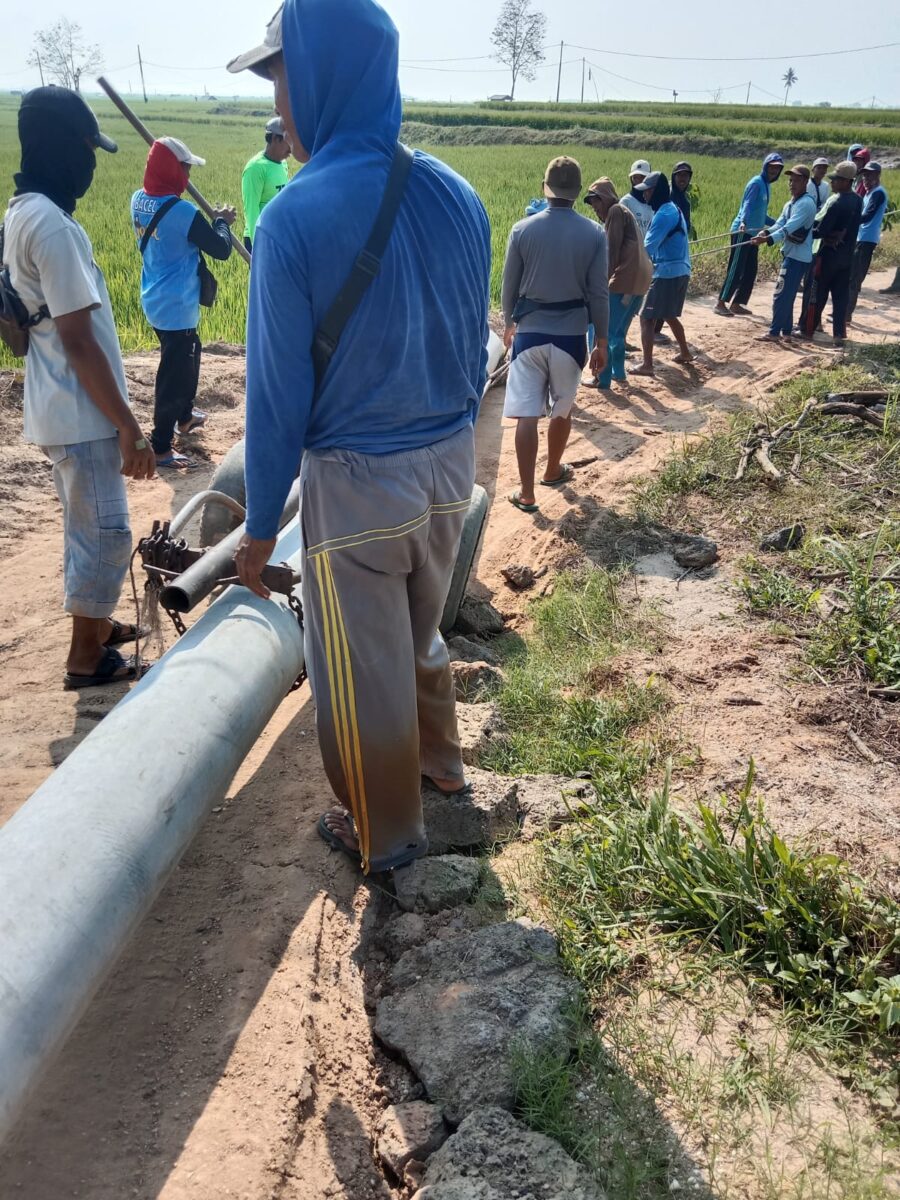 Petani Desa Trimomukti,