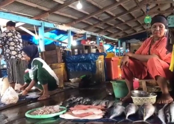 harga ikan