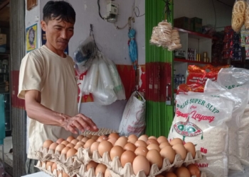 harga telur Bandar Lampung
