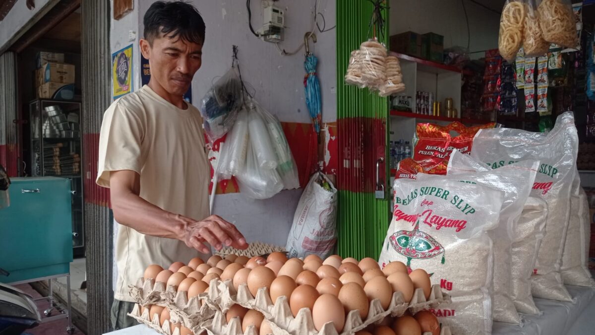 harga telur Bandar Lampung
