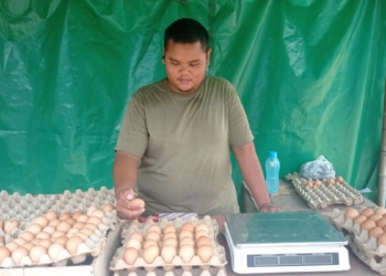 harga telur Bandar Lampung