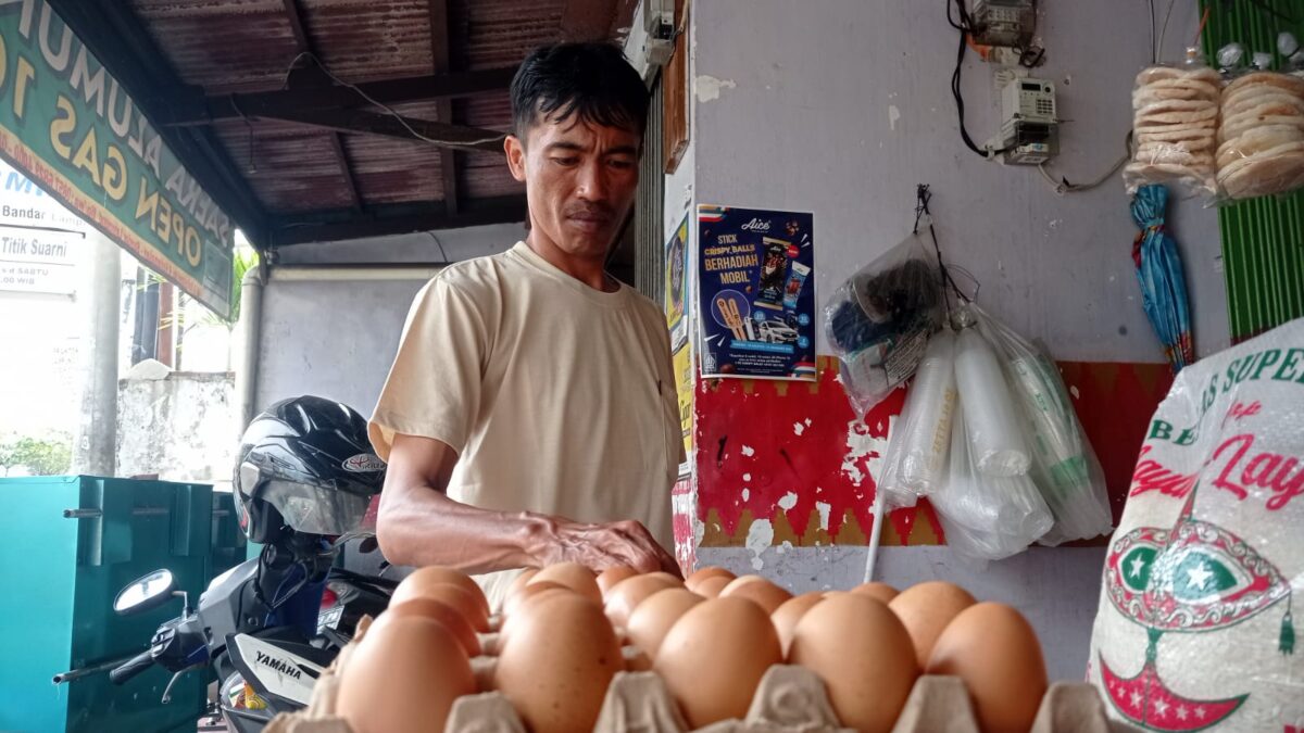 stok telur Lampung