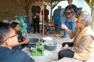 Mocaf Dorong Kesejahteraan Petani Singkong di Lampung Timur