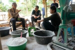 Pemasaran Jadi Tantangan Utama Produksi Mocaf di Lampung Timur