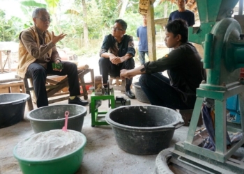 Pengolahan singkong menjadi Modified Cassava Flour (Mocaf) terus berkembang di Desa Mekar Karya, Kecamatan Waway Karya, Kabupaten Lampung Timur.