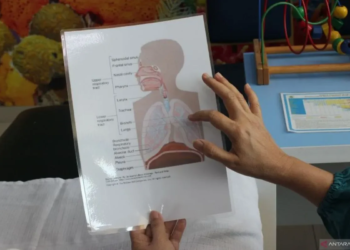 kondisi paru-paru anak saat mengidap pneumonia