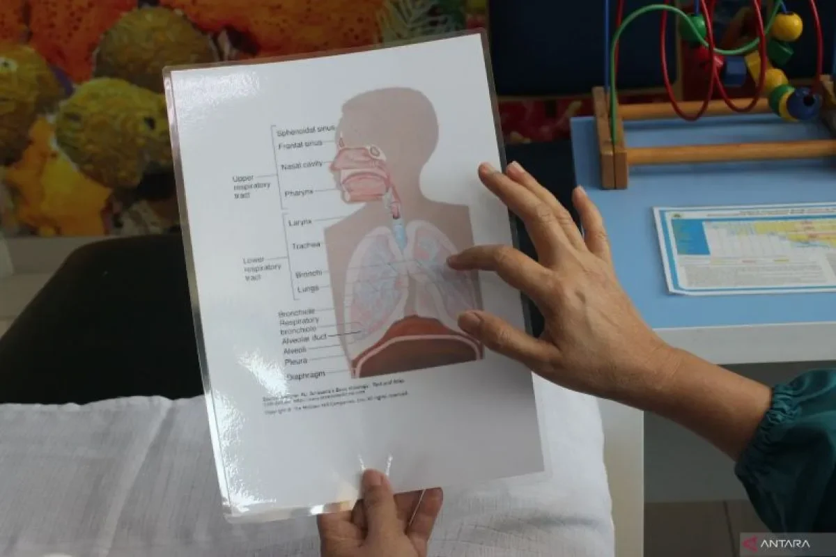 kondisi paru-paru anak saat mengidap pneumonia
