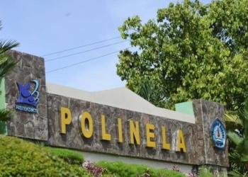 Polinela Kembangkan Sistem AI Berbasis Computer Vision Mendeteksi Penyakit Tanaman Padi