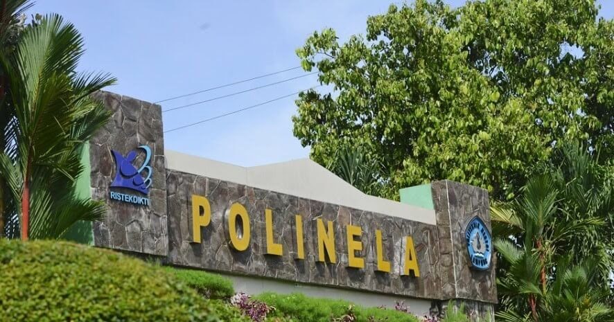 Polinela Kembangkan Sistem AI Berbasis Computer Vision Mendeteksi Penyakit Tanaman Padi