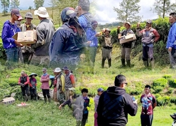 Pahlawan Produksi Garda Depan PTPN I Jaga Ekonomi Negeri