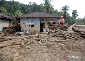 DPR Desak Pemerintah Jadikan Banjir Sumatra Bencana Nasional