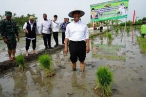 Survei IPI: Kinerja Mentan Amran Sulaiman Tertinggi