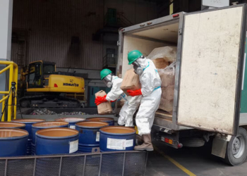 Lima Ton Udang Terkontaminasi Radio Aktif Dimusnahkan