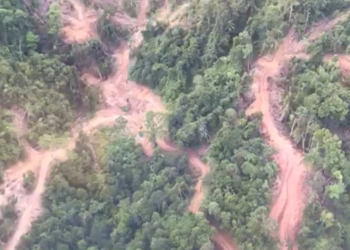 Pantauan udara dari atas perbukitan Kecamatan Lemong, Kabupaten Pesisir Barat, Provinsi Lampung yang mulai gundul. Dok