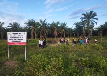 PTPN I Regional 7 Kecam Pemblokiran Jalan dan Penghentian Panen