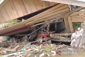 BNPB Catat Korban Banjir di Sumatra Tembus 1.189 Jiwa
