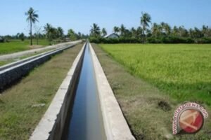 BBWS Mesuji Sekampung Perkuat Kesiapsiagaan Antisipasi Banjir