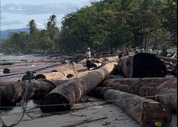 Ribuan Meter Kubik Kayu Asal Sumbar Terdampar Ganggu Aktivitas di Pantai Tanjung Setia