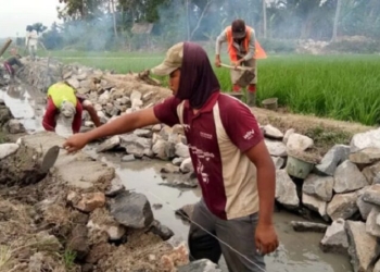 PSDA Lampung Perketat Pengawasan Tanggul Irigasi Antisipasi Banjir