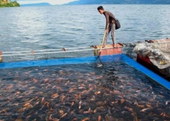 KNMP Buka Akses Nelayan Lampung Dapatkan BBM