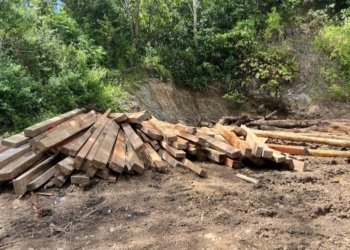 Barang bukti balok kayu dugaan praktik penebangan liar atau illegal logging di Sabardong, Pugung Penengahan, Kecamatan Lemong, Kabupaten Pesisir Barat, Lampung. Dok