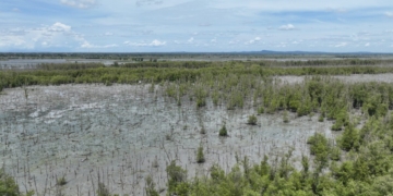 Pelestarian lingkungan pesisir melalui program penanaman 20.000 bibit mangrove bersama Kelompok Tani Hutan (KTH) Mutiara Hijau di wilayah Pasir Sakti, Lampung Timur.