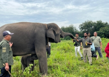 TNWK akan Terima Animal Ambulance