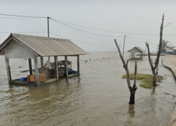 Kenaikan Suhu Permukaan Laut Picu Cuaca Ekstrem di Lampung