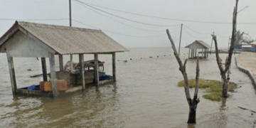 Kenaikan Suhu Permukaan Laut Picu Cuaca Ekstrem di Lampung