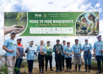 penanaman mangrove golden tulip