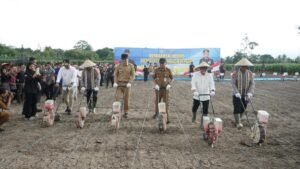 Menko Pangan Zulkifli Hasan Targetkan Lampung Selatan sebagai Sentra Produksi Jagung